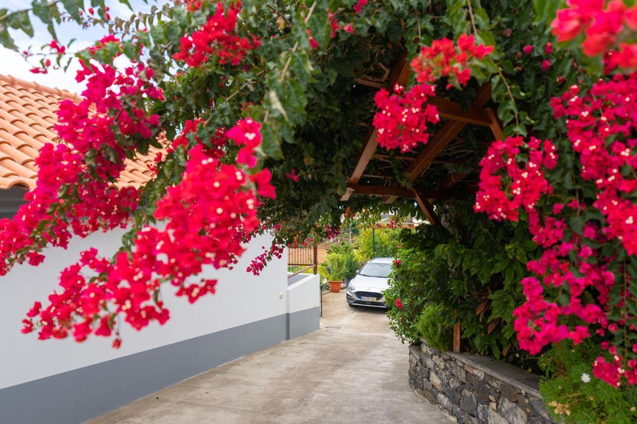 Villa Dinis By Holiday Rental Madeira Calheta  Kültér fotó